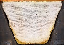 Check out our top bar beekeeping selection for the very best in unique or custom, handmade pieces from our shops. 200 Top Bar Hives The Low Cost Sustainable Way Top Bar Hive Book