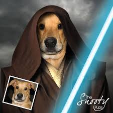 Dog Portrait Dog Portrait Custom Star Wars Obi Wan Custom Etsy Dog Portraits Pet Portraits Custom Dog Portraits