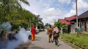 Fakta ringkas tentang kuantan, malaysia. Kecamatan Kuantan Tengah Jadi Tempat Kasus Dbd Tertinggi Di Kabupaten Kuansing Riau Berita Riau Terkini Online Spirit Riau Update