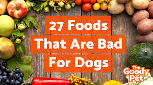 The 27 Worst Foods That Are Bad For Dogs Warning Toxic