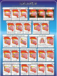 tajweed makhaarij مخارج الحروف tasheel tadrees tajweed quran how to read quran online quran