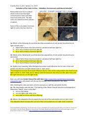 Natural selection need not result in evolution, defined as a. Natural Selection Mouse Fur Color 2019 Claudia Ross Gold 1 Evolution Of Fur Color In Mice U2013 Mutation Environment And Natural Selection1 Rock Course Hero