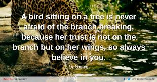 Believe faith hope quote self simplereminders srn trust. A Bird Sitting On A Tree Is Never Afraid Of The Branch