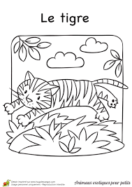 Coloriage Animaux Exotiques Pour Petits Le Tigre Coloriage Animaux Coloriage Dessin Facile Animaux