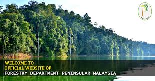 Peninsula (a piece of land projecting into water). Jabatan Perhutanan Semenanjung Malaysia Forestry Department Peninsular Malaysia