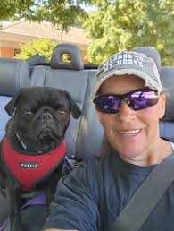 Any good walking trails nearby Rochester, NH besides Gonic Trails for a  lazy pug?