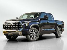 Image result for Tan 2020 Fleet