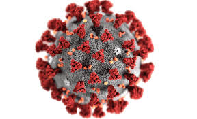 Besonders wenige verstorbene und infizierte gibt es beispielsweise in den stadtkreisen. Coronavirus Covid 19 In Deutschland Und Baden Wurttemberg