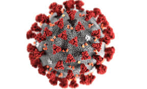 Angesichts der hochdynamischen entwicklung der infektionszahlen hat die landesregierung die dritte pandemiestufe ausgerufen. Coronavirus Covid 19 In Deutschland Und Baden Wurttemberg