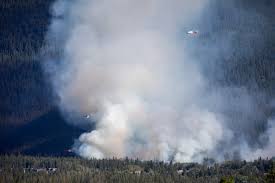 Flintham to lead the new department, and directed him to establish a program for fire prevention and firefighting in the county. Ooqbfjfukzaawm