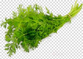 Sea Cartoon Clipart Plant Flower Vegetable Transparent Clip Art Webster's new world college dictionary, fifth edition copyright © 2014 by houghton mifflin harcourt publishing company. kissclipart