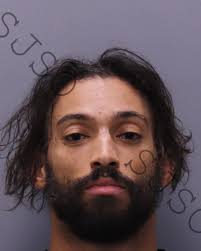 LUCAS, WILLIAM MATTHEW (B/ MALE ) Booking Date: 10/03/2024 Age: 35 BOND:  $5500.00 CHARGES: FLEE/ELUDE POLICE/MOVING TRAFFIC VIOL 📷 SOURCE: ST  JOHN'S COUNTY SHERIFF'S OFFICE Notice: “This content is released in the