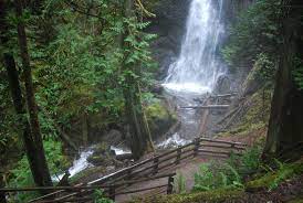 The hike to marymere falls isn't very difficult though it does demand climbing some uneven terrain and going up and down some natural steps, especially towards the once you enter the lake area, follow the signs for the storm king visitor center. Marymere Falls At Lake Crescent Olympic Hiking Co