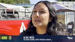 Scientists are finding dozens of sick sea lions and marine wildlife washed  up