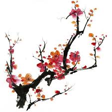 Papier Peint Japonais Cerisier En Fleur Fleur De Cerisier Japonais Fleur De Cerisier Cerisier Japonais