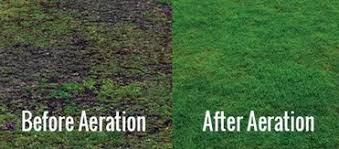 Steps to dethatching your lawn: How To Aerate A Lawn By Hand How Does Your Garden Mow