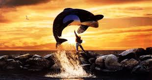 Bo derek (born mary cathleen collins; How Does Rust And Bone Compare To Free Willy And Orca