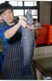 Manage your video collection and share your thoughts. å¤§èƒƒç±³ç²' æ¡ƒåœ'çŸ³é–€æ°´åº«æ´»é­šæ–™ç†æŽ¨è–¦ åä¸€ä»½æ´»é­šé¤å»³ 40å¹´è€åº— æ´»é­š20åƒ å¹³åƒ¹æ¡Œèœè¶…æ¾Žæ‹œ ç™½é£¯ç„¡é™åƒåˆ°é£½ å¤šäººèšé¤æŽ¨è–¦ æ¡ƒåœ'å¤§æºªç¾Žé£Ÿ æ¡ƒåœ'å°èœé¤å»³æŽ¨è–¦ å¤§èƒƒç±³ç²'