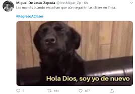 Regresan a clases presenciales en coahuila. Riete Con Los Mejores Memes Sobre El Regreso A Clases En Linea Cronica Puebla