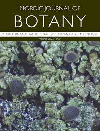 Image result for Pavetta stenosepala