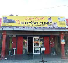 Hotels in der nähe von pengkalan chepa airport, kota bharu: Klinikhaiwanpintugeng My Kittycat Clinic Facebook