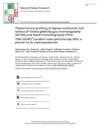 Image result for Triclisia