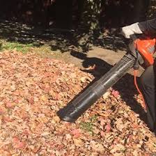 Chop chicken bones in half so bacteria can get inside. Leaf Yard Composting