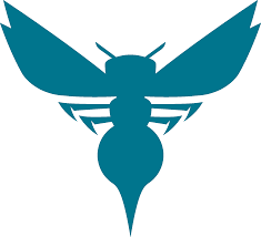 Currently over 10,000 on display for your viewing pleasure. Charlotte Hornets Logo Png Charlotte Hornets New Logo Transparent Cartoon Jing Fm