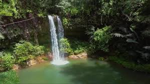 The destination is great for bird watching and other wildlife relatedactivities due to its diverse wildlife. Waterfall At Lambir Hills National Stock Footage Video 100 Royalty Free 1018240387 Shutterstock