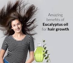 Eucalyptus oil is also a natural antiseptic and antifungal agent. 5 Amazing Benefits Of Eucalyptus Oil For Hair Growth Uses Application Precautions