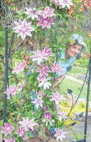 Image result for Clematis