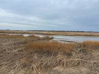 Avalon Nature Preserve (C)