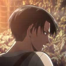 Maybe you would like to learn more about one of these? Shingeki No Kyojin Levi Attack On Titan Levi Levi Ackerman Profile Picture