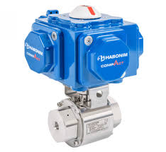 ITT Habonim H29 Series Hydrogen Service High Pressure Ball ...