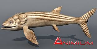 As such, it is difficult to determine its exact. Leedsichthys 3d Model