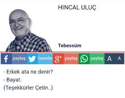 'yalan konuşma şenol güneş!' euro 2020'de oynadığı 3 maçta puan alamayarak havlu atan a milli takım'ın teknik direktörü şenol güneş'e. Hincal Uluc Un Paylastigi Fantastik Espri Uludag Sozluk