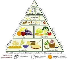 Vegetarian Diet Pyramid Wikipedia