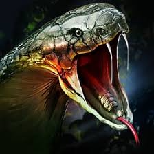 Eat the food at the coordinate point, but don't eat yourself! Killer Snake Play Killer Snake On Poki