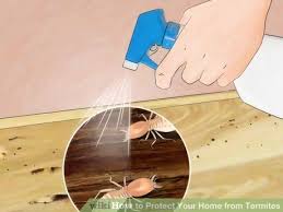 Bill's pest termite control helps residential and commercial property owners tackle their pest control and termite treatment problems with the best solutions. How To Protect Your Home From Termites Protecting Your Home Termites Termite Control