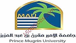 متابعات الوظائف وظائف جامعة الأمير مقرن بن عبد العزيز الأهلية وظائف سعوديه شاغره In 2020 King Logo Burger King Logo University