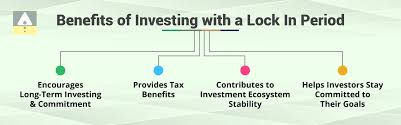 What is Lock-in Period in IPO? Types ...