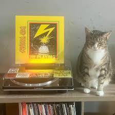 Image result for Yellow 1982 AA