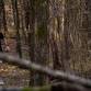 The Backland - Last Man Standing Endurance Run