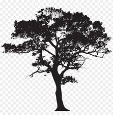 Gum Tree Silhouette Png Image With Transparent Background Png Free Png Images Tree Drawing Tree Silhouette Tree Watercolor Painting