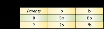 Geneticists make a punnett square to determine the probability of a person inheriting a specific trait. 3 6 Punnett Squares Biology Libretexts