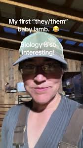 Probably TMI for some but this lamb seems to have all the parts, like all  of them. Yup! Will be interesting to see this little one grow. They had a  rough start as their mom didn’t do a great job ...