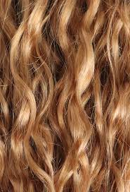 Kinky curly clip in hair extensions for black women, 10a brazilian 4b 4c afro kinky curly clip ins hair extensions clip in human hair for black women natural color 7pcs 25clips 125 gram (26 inch, kinky curly clip) 26 inch. Curly Clip In Hair Extensions Bebonia