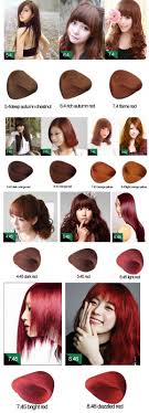 Oem Professional Salon Hair Dye Organic Hair Color Pigment Buy Non Allergic Hair Dye Henna Hair Color Full Coverage Permanent Hair Color Product On