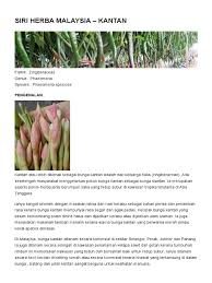 Pinang sudah sangat populer di indonesia karena memang jenis buah ini sangat mudah ditemukan. Siri Herba Malaysia Kantan Myagri Com