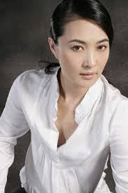 Tai Wan Shou Ren Xun Fu Liu Ming Chuan (Serie de TV 2004)